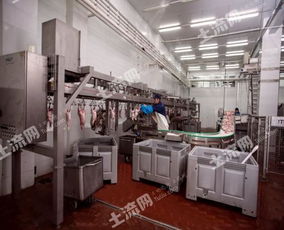 俄羅斯38250平方米現代化肉類加工廠轉讓，融合網絡技術開發新機遇